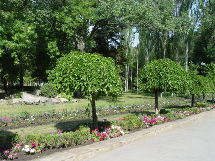 донецк ростовской области, аллея